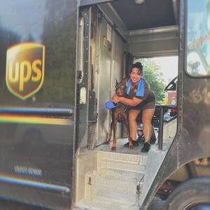 Meet your Posher, Dolly